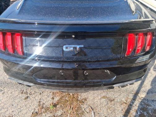 Shadow Black 2019 Ford Mustang GT