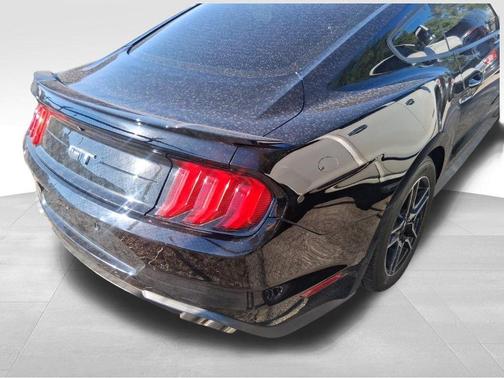 Shadow Black 2019 Ford Mustang GT