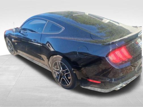 Shadow Black 2019 Ford Mustang GT