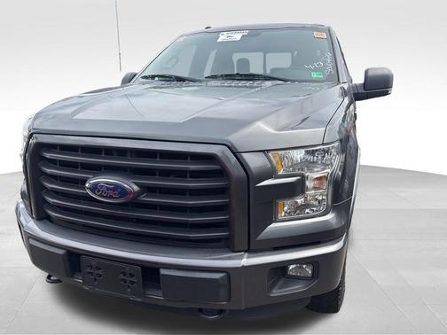 Magnetic 2016 Ford F-150 XLT