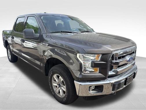 Magnetic 2016 Ford F-150 XLT