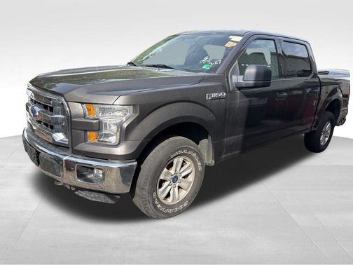 Magnetic 2016 Ford F-150 XLT