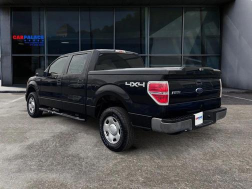 2009 Ford F-150 Platinum