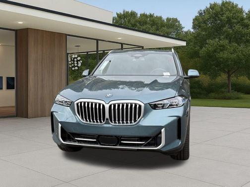 Blue Ridge Mountain Metallic 2026 BMW X5 PHEV xDrive50e