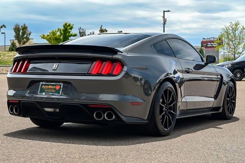 Magnetic 2017 Ford Shelby GT350 Base