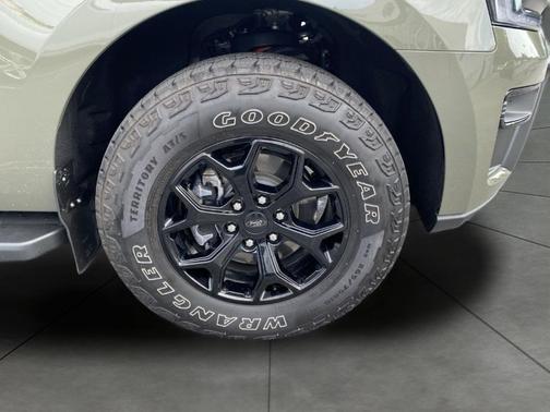 Wild Green 2024 Ford Expedition Timberline