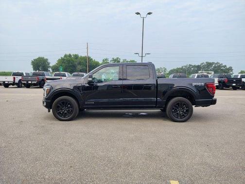 Agate Black Metallic 2025 Ford F-150 Platinum