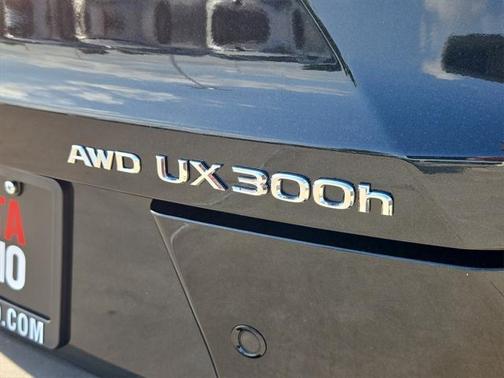 2025 Lexus UX 300h Premium