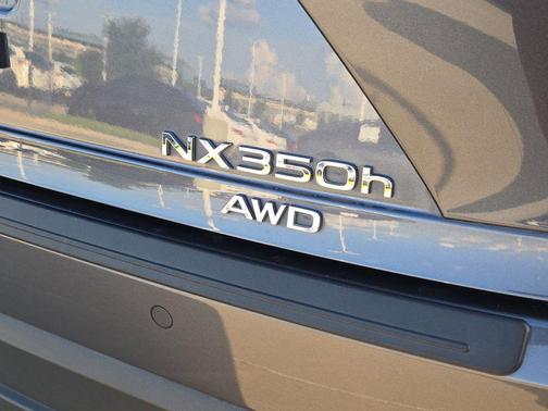 Cloudburst Gray 2024 Lexus NX 350h Luxury