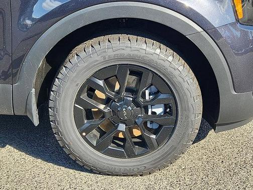 2025 Kia Telluride SX-Prestige X-Pro