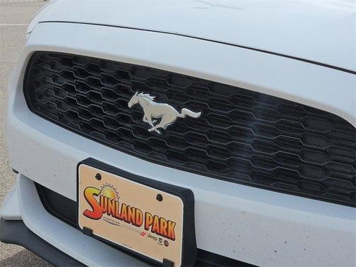 2017 Ford Mustang V6