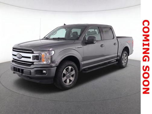 Magnetic 2019 Ford F-150 XLT