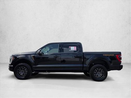 Agate Black Metallic 2023 Ford F-150 Tremor