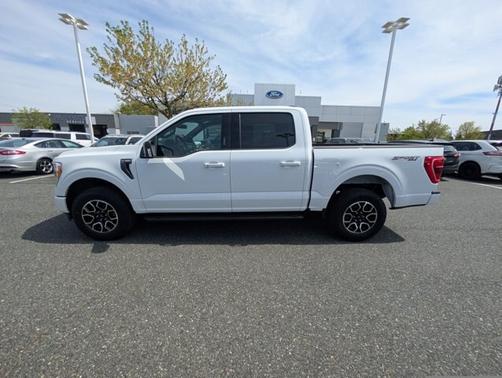 OXFORD WHITE 2023 Ford F-150 XLT