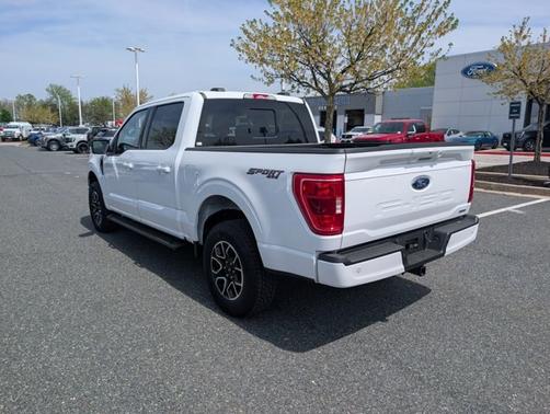 OXFORD WHITE 2023 Ford F-150 XLT
