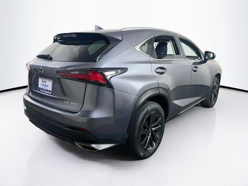 Nebula Gray Pearl 2020 Lexus NX 300 Base