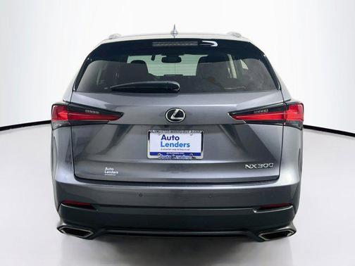 Nebula Gray Pearl 2020 Lexus NX 300 Base