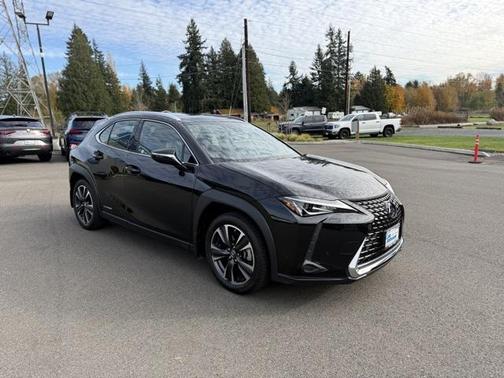 2021 Lexus UX 250h Luxury