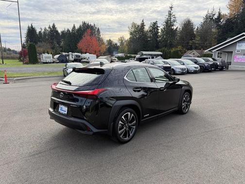2021 Lexus UX 250h Luxury