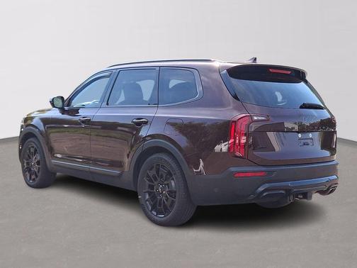 Sangria 2022 Kia Telluride SX