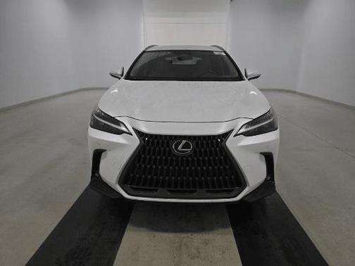 2025 Lexus NX 250 Base