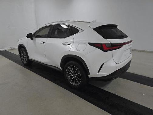 2025 Lexus NX 250 Base