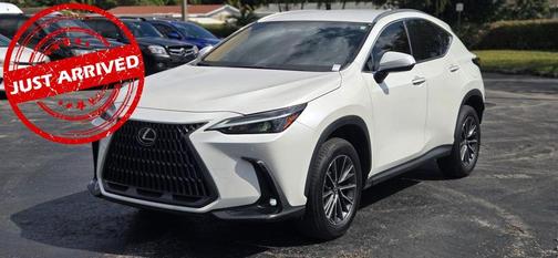 2025 Lexus NX 250 Base