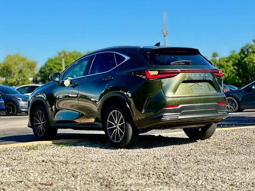 2024 Lexus NX 250 Base