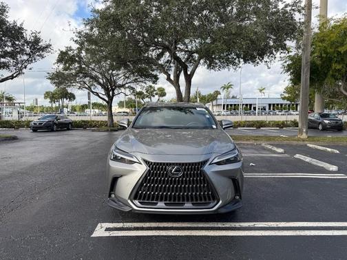 2024 Lexus NX 250 Premium