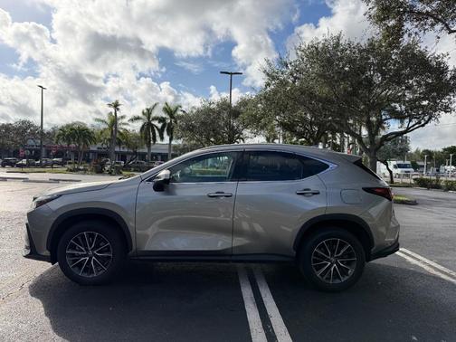 2024 Lexus NX 250 Premium