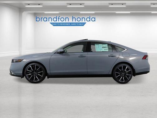 Urban Gray Pearl 2026 Honda Accord Hybrid Touring
