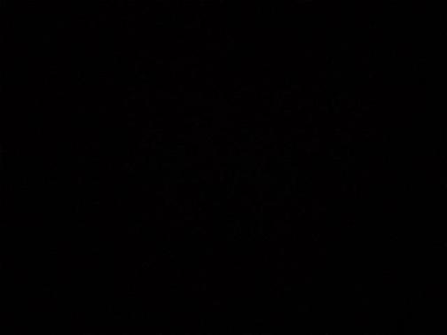 2018 Ford Fusion Sport