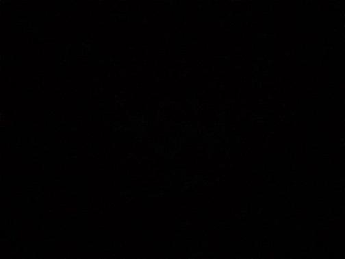 2018 Ford Fusion Sport