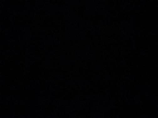 2018 Ford Fusion Sport