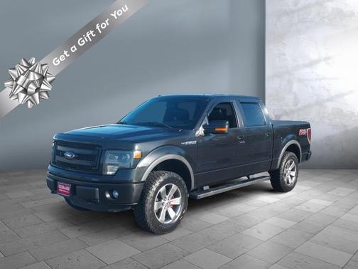2014 Ford F-150 FX4