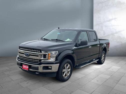 Agate Black Metallic 2019 Ford F-150 XLT