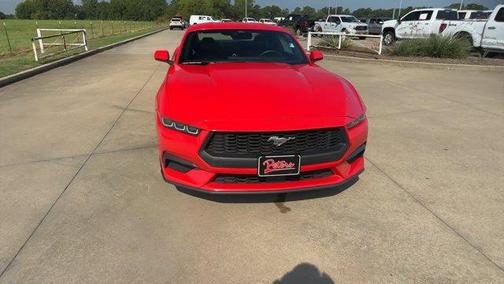 Race Red 2024 Ford Mustang EcoBoost Premium