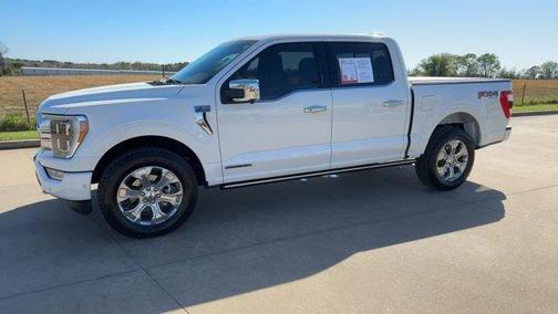 2022 Ford F-150 Platinum