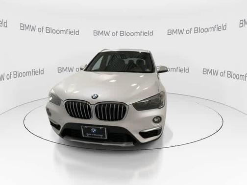 Mineral White Metallic 2019 BMW X1 xDrive28i