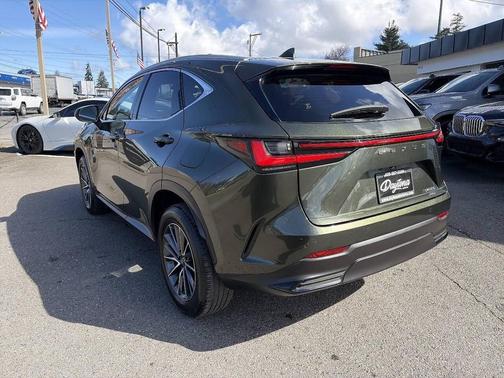 Nori Green Pearl 2024 Lexus NX 350 Premium