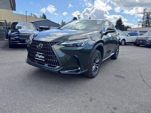 Nori Green Pearl 2024 Lexus NX 350 Premium