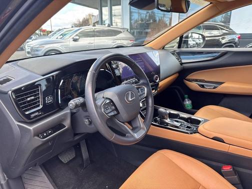 Nori Green Pearl 2024 Lexus NX 350 Premium