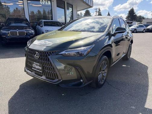 Nori Green Pearl 2024 Lexus NX 350 Premium
