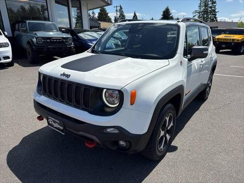 2019 Jeep Renegade Trailhawk