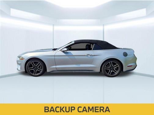Ingot Silver 2019 Ford Mustang EcoBoost Premium