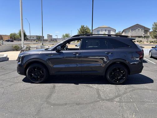 Panthera Metal 2025 Kia Sorento SX