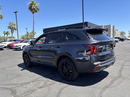 Panthera Metal 2025 Kia Sorento SX