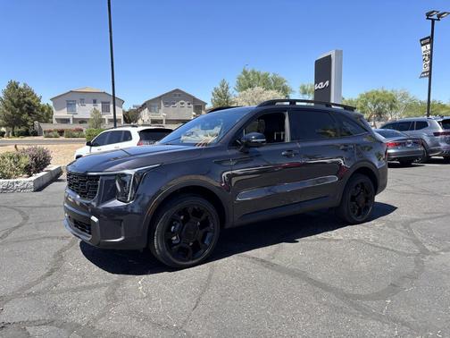 Panthera Metal 2025 Kia Sorento SX
