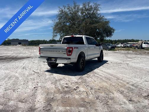 2021 Ford F-150 Platinum