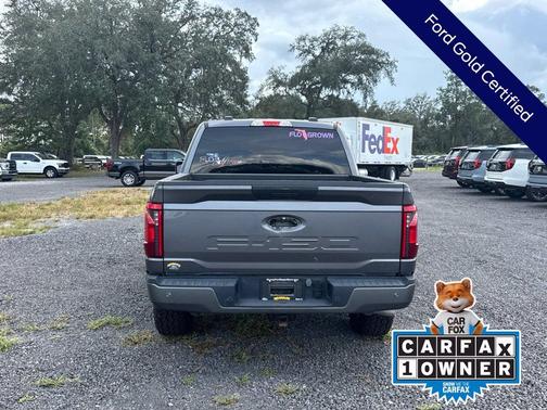 Gray Metallic 2024 Ford F-150 STX